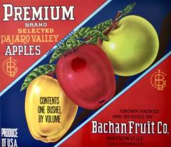 Pair of Authentic California Fruit Crate Labels Featuring Apples Circa 1940s - 3630931