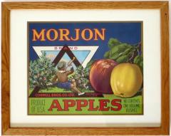 Pair of Authentic California Fruit Crate Labels Featuring Apples Circa 1940s - 3630932