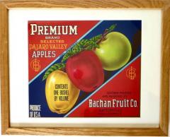 Pair of Authentic California Fruit Crate Labels Featuring Apples Circa 1940s - 3630936