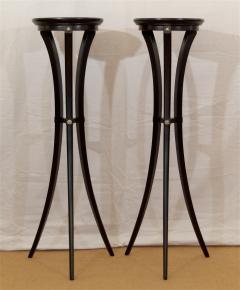 Pair of Black Lacquer Gilt Plant Stands - 432013