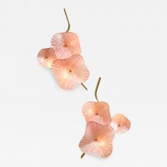 Pair of Blush Pink Murano Flower Glass and Brass Sconces Italy - 3590800