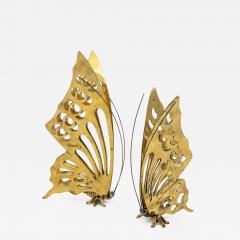 Pair of Brass Butterflies - 2094986