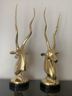 Pair of Brass Kudu or Antelope Busts - 1002367