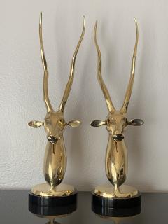 Pair of Brass Kudu or Antelope Busts - 1002370