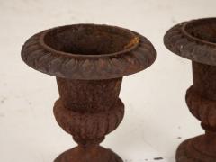 Pair of Cast Iron Urns French 19th Century - 3008564