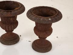 Pair of Cast Iron Urns French 19th Century - 3008568