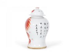 Pair of Chinese Beige and Orange Foo Dog Patterned Porcelain Lidded Ginger Jars - 4199620
