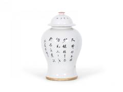 Pair of Chinese Beige and Orange Foo Dog Patterned Porcelain Lidded Ginger Jars - 4199621
