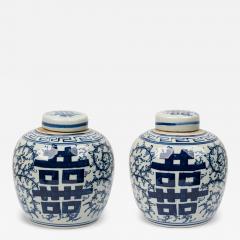 Pair of Chinese Blue White Porcelain Covered Jars with Floral Decoration - 4412423