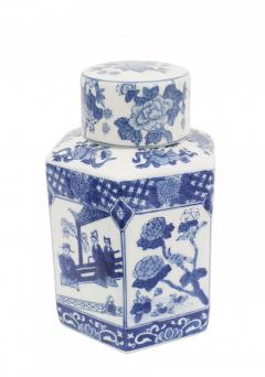 Pair of Chinese Blue White Porcelain Ginger Jars - 4517653