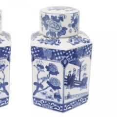 Pair of Chinese Blue White Porcelain Ginger Jars - 4517654