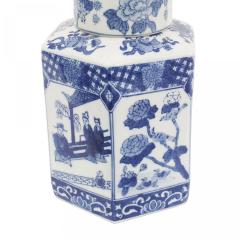 Pair of Chinese Blue White Porcelain Ginger Jars - 4517656