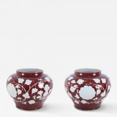 Pair of Chinese Burgundy and White Floral Motif Pots - 4529358