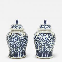 Pair of Chinese Export Jars with Lids - 786088