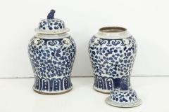 Pair of Chinese Export Jars with Lids - 848356