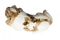 Pair of Chinese Export Porcelain Puppies - 4137683