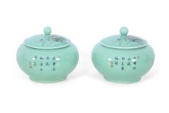 Pair of Chinese Pale Green and Pink Blossom Lidded Jars - 4408826