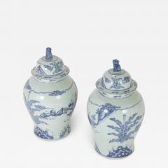 Pair of Chinese Porcelain Blue White - 2106004