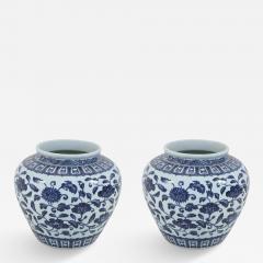 Pair of Chinese White and Blue Floral Porcelain Pots - 4529352