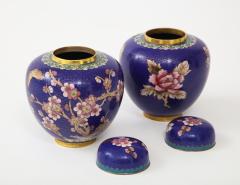 Pair of Cobalt Cloisonne Ginger Jars - 1136659