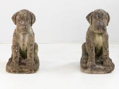 Pair of Composite Stone Boxer Dog Garden Statues England 1960s - 4597776