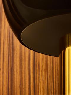 Pair of Contemporary Brass and Smoked Glass Table Lamps - 4693183