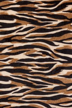Pair of Contemporary Style Zebra Print Arm Chairs - 4649738