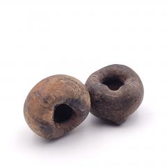 Pair of Curious Seed Pods Used for Storage Possibly SE Asia 19th Century - 2507567