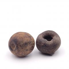 Pair of Curious Seed Pods Used for Storage Possibly SE Asia 19th Century - 2507568