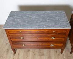 Pair of Directoire Chests in Plum Wood with Original Gray Marble Tops 18th Cent - 4146681