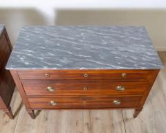 Pair of Directoire Chests in Plum Wood with Original Gray Marble Tops 18th Cent - 4146685
