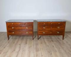 Pair of Directoire Chests in Plum Wood with Original Gray Marble Tops 18th Cent - 4146689