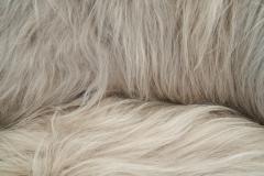 Pair of Easy Chairs in Grey Longhair Europe Mid 20th Century - 4374425