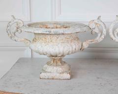 Pair of English 19th Century Cast Iron Garden Urns - 4736971