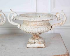 Pair of English 19th Century Cast Iron Garden Urns - 4736973