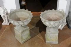 Pair of English 20th Century Stone Urns on Pedestals with Acanthus Leaf Motifs - 3472742