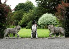 Pair of English Large Cast Stone Medici Lions - 1965013