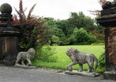 Pair of English Large Cast Stone Medici Lions - 1965014