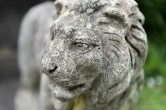 Pair of English Large Cast Stone Medici Lions - 1965053