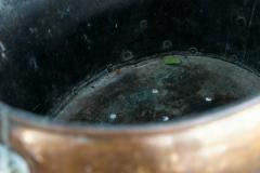 Pair of English Late 19th Century Copper Brass Lion Paw Coal Buckets Planter - 1967595