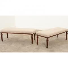 Pair of English Mahogany Benches - 2915788