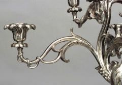 Pair of English Regency style 19th Cent bronze dore herons standing on turtles - 4631654