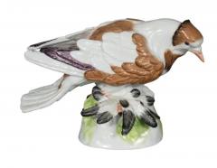 Pair of European Porcelain Figures Of English Trumpeter Pigeons - 4134084