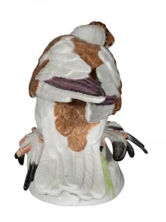 Pair of European Porcelain Figures Of English Trumpeter Pigeons - 4134105