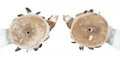 Pair of European Porcelain Figures Of English Trumpeter Pigeons - 4134152