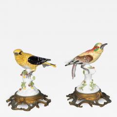 Pair of European Porcelain Figures of Sunbirds - 4134645