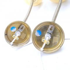 Pair of Finnish Design Wall Lamps Brass and Adjustable Glass Flower Bud Shades - 4366834