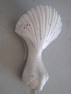 Pair of French 1930s Shell and Talon Sconces - 4102676