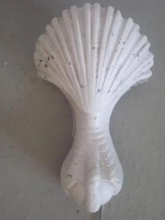 Pair of French 1930s Shell and Talon Sconces - 4102685