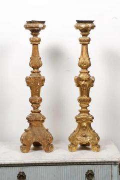 Pair of French 19th Century Gilt Candlesticks with Carved Foliage and Volutes - 3432896